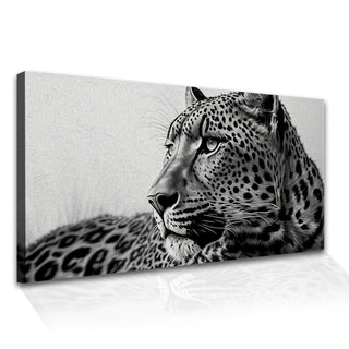 Amazing Wildlife Wall Art. Large Canvas Framed Digital Reprints of Jungle, Wildlife, Animals and Birds. Ready To Hang. Size:  24 Inch x 48 Inch (WBWA45) - Khirki.in