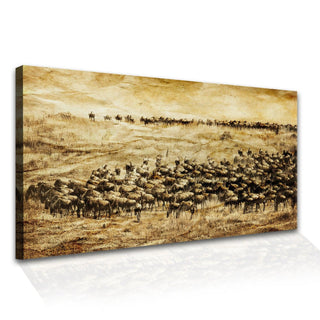 Amazing Wildlife Wall Art. Large Canvas Framed Digital Reprints of Jungle, Wildlife, Animals and Birds. Ready To Hang. Size:  24 Inch x 48 Inch (WBWA31) - Khirki.in