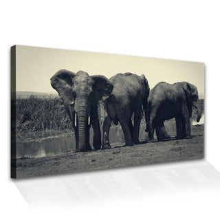 Amazing Wildlife Wall Art. Large Canvas Framed Digital Reprints of Jungle, Wildlife, Animals and Birds. Ready To Hang. Size:  24 Inch x 48 Inch (WBWA36) - Khirki.in
