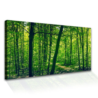 Amazing Wildlife Wall Art. Large Canvas Paintings. Framed Digital Reprints of Jungle, Wildlife, Animals and Birds 24 Inch x 48 Inch(WBWA02) - Khirki.in