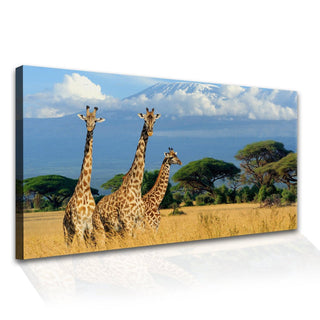 Amazing Wildlife Wall Art. Large Canvas Framed Digital Reprints of Jungle, Wildlife, Animals and Birds. Ready To Hang. Size:  24 Inch x 48 Inch (WBWA27) - Khirki.in