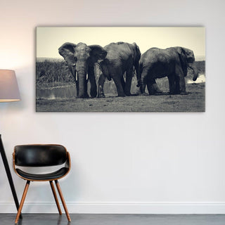 Amazing Wildlife Wall Art. Large Canvas Framed Digital Reprints of Jungle, Wildlife, Animals and Birds. Ready To Hang. Size:  24 Inch x 48 Inch (WBWA36) - Khirki.in