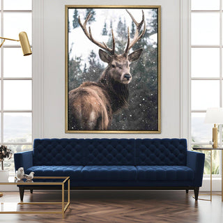 Wildlife Animals Canvas Wall Art. High Definition Portraits of Animals. (WBWA62)