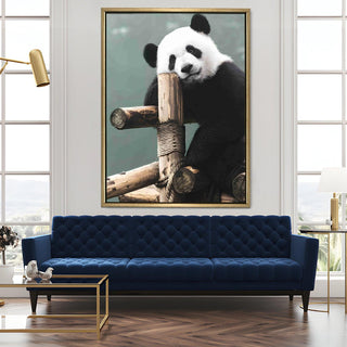 Wildlife Animals Canvas Wall Art. High Definition Portraits of Animals. (WBWA60)