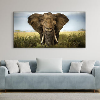 Amazing Wildlife Wall Art. Large Canvas Paintings. Framed Digital Reprints of Jungle, Wildlife, Animals and Birds 24 Inch x 48 Inch (WBWA24) - Khirki.in