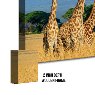 Amazing Wildlife Wall Art. Large Canvas Framed Digital Reprints of Jungle, Wildlife, Animals and Birds. Ready To Hang. Size:  24 Inch x 48 Inch (WBWA27) - Khirki.in