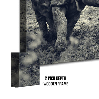 Amazing Wildlife Wall Art. Large Canvas Framed Digital Reprints of Jungle, Wildlife, Animals and Birds. Ready To Hang. Size:  24 Inch x 48 Inch (WBWA35) - Khirki.in