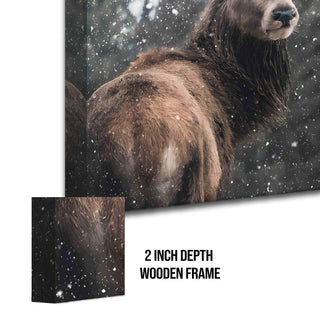 Wildlife Animals Canvas Wall Art. High Definition Portraits of Animals. (WBWA62)