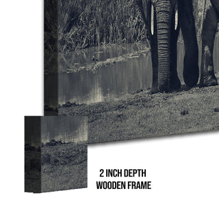 Amazing Wildlife Wall Art. Large Canvas Framed Digital Reprints of Jungle, Wildlife, Animals and Birds. Ready To Hang. Size:  24 Inch x 48 Inch (WBWA36) - Khirki.in