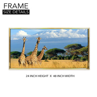 Amazing Wildlife Wall Art. Large Canvas Framed Digital Reprints of Jungle, Wildlife, Animals and Birds. Ready To Hang. Size:  24 Inch x 48 Inch (WBWA27) - Khirki.in