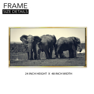 Amazing Wildlife Wall Art. Large Canvas Framed Digital Reprints of Jungle, Wildlife, Animals and Birds. Ready To Hang. Size:  24 Inch x 48 Inch (WBWA36) - Khirki.in