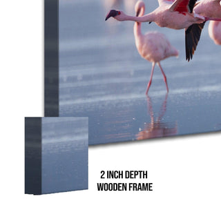 Amazing Wildlife Wall Art. Large Canvas Framed Digital Reprints of Jungle, Wildlife, Animals and Birds. Ready To Hang. Size:  24 Inch x 48 Inch (WBWA41) - Khirki.in