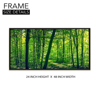 Amazing Wildlife Wall Art. Large Canvas Paintings. Framed Digital Reprints of Jungle, Wildlife, Animals and Birds 24 Inch x 48 Inch(WBWA02) - Khirki.in