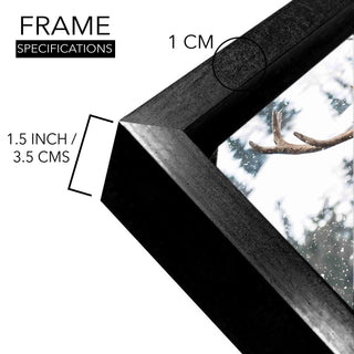 Wildlife Animals Canvas Wall Art. High Definition Portraits of Animals. (WBWA62)