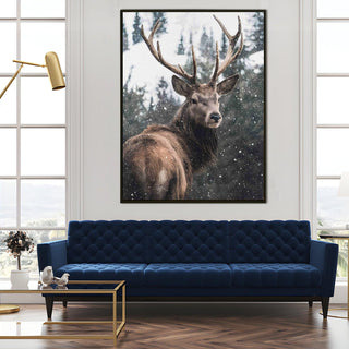 Wildlife Animals Canvas Wall Art. High Definition Portraits of Animals. (WBWA62)