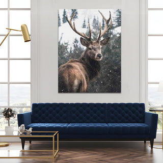 Wildlife Animals Canvas Wall Art. High Definition Portraits of Animals. (WBWA62)