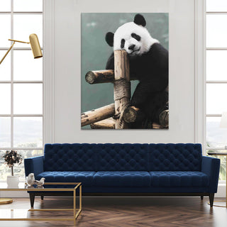 Wildlife Animals Canvas Wall Art. High Definition Portraits of Animals. (WBWA60)