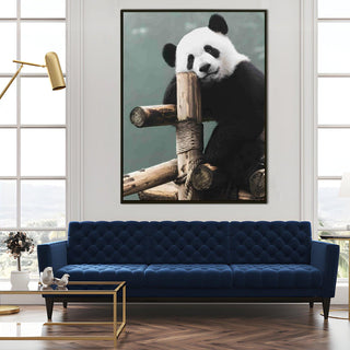 Wildlife Animals Canvas Wall Art. High Definition Portraits of Animals. (WBWA60)