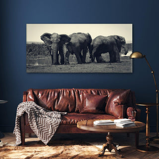 Amazing Wildlife Wall Art. Large Canvas Framed Digital Reprints of Jungle, Wildlife, Animals and Birds. Ready To Hang. Size:  24 Inch x 48 Inch (WBWA36) - Khirki.in