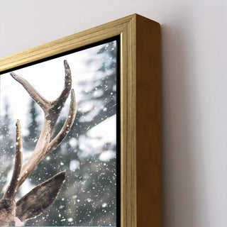 Wildlife Animals Canvas Wall Art. High Definition Portraits of Animals. (WBWA62)