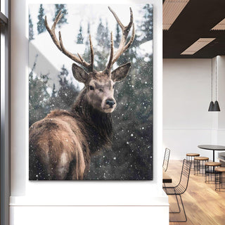 Wildlife Animals Canvas Wall Art. High Definition Portraits of Animals. (WBWA62)