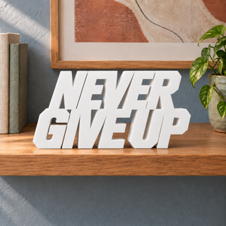 Never Give Up desk letters in White