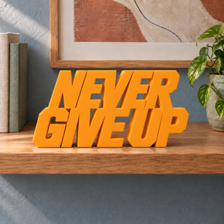 Never Give Up desk letters in Orange