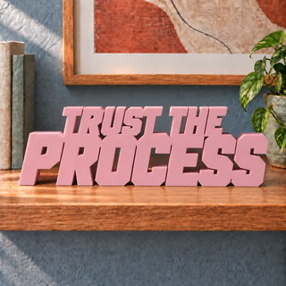 Trust the Process desk letters in Sakura Pink