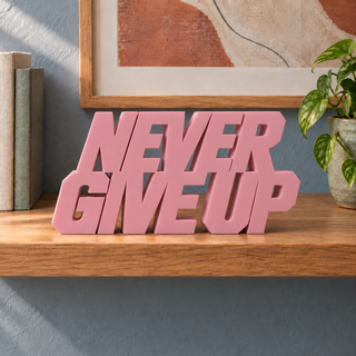 Never Give Up desk letters in Sakura Pink