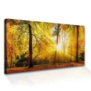 Amazing Wildlife Wall Art. Large Canvas Paintings. Framed Digital Reprints of Jungle, Wildlife, Animals and Birds 24 Inch x 48 Inch(WBWA03) - Khirki.in 