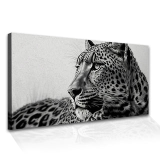 Amazing Wildlife Wall Art. Large Canvas Framed Digital Reprints of Jungle, Wildlife, Animals and Birds. Ready To Hang. Size:  24 Inch x 48 Inch (WBWA45) - Khirki.in 