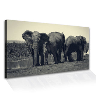 Amazing Wildlife Wall Art. Large Canvas Framed Digital Reprints of Jungle, Wildlife, Animals and Birds. Ready To Hang. Size:  24 Inch x 48 Inch (WBWA36) - Khirki.in 