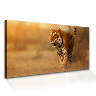 Amazing Wildlife Wall Art. Large Canvas Framed Digital Reprints of Jungle, Wildlife, Animals and Birds. Ready To Hang. Size:  24 Inch x 48 Inch (WBWA28) - Khirki.in 