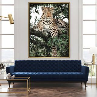 Wildlife Animals Canvas Wall Art. High Definition Portraits of Animals. (WBWA61)