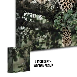 Wildlife Animals Canvas Wall Art. High Definition Portraits of Animals. (WBWA61)