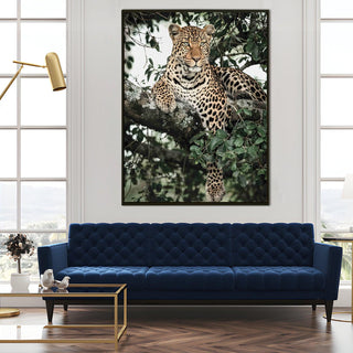 Wildlife Animals Canvas Wall Art. High Definition Portraits of Animals. (WBWA61)