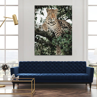 Wildlife Animals Canvas Wall Art. High Definition Portraits of Animals. (WBWA61)