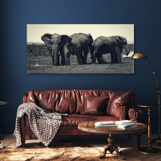 Amazing Wildlife Wall Art. Large Canvas Framed Digital Reprints of Jungle, Wildlife, Animals and Birds. Ready To Hang. Size:  24 Inch x 48 Inch (WBWA36) - Khirki.in 