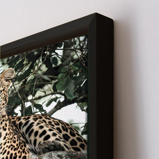 Wildlife Animals Canvas Wall Art. High Definition Portraits of Animals. (WBWA61)