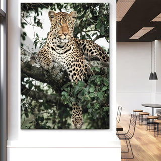 Wildlife Animals Canvas Wall Art. High Definition Portraits of Animals. (WBWA61)