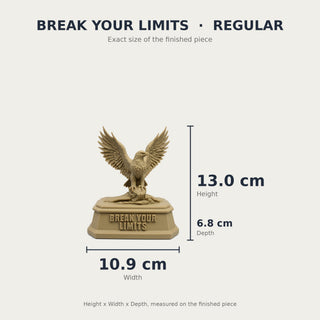 Break Your Limits (Eagle) desk trophy Regular size with measurements